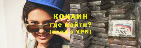 прущие грибы Лабытнанги