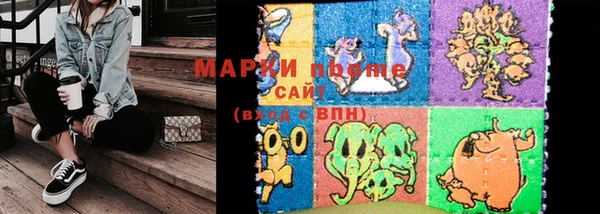 прущие грибы Лабытнанги