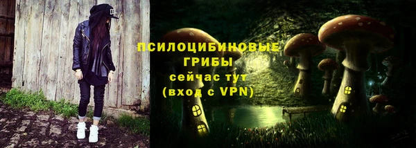 сатива Абаза