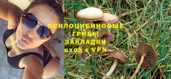 сатива Абаза